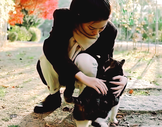 [잡담] 아 슬기 동물들이 뭘로 보는지 모르겠는데 붙어있으면 개웃김 | 인스티즈