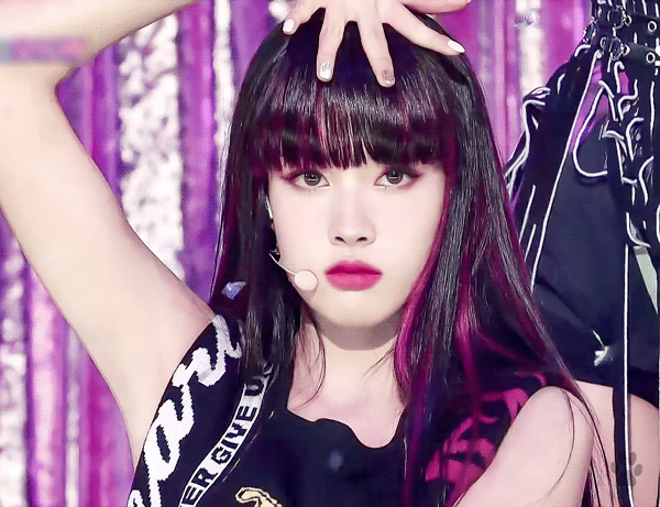 [잡담] 용맹 아기 호랑이 심자윤 🦁 | 인스티즈