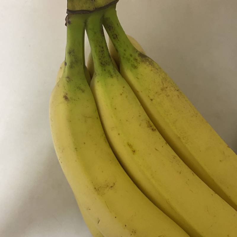이 바나나 먹어도 돼? | 인스티즈