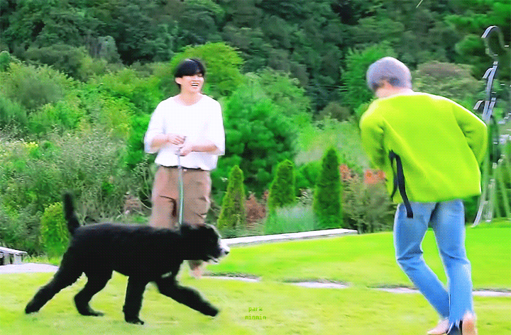 [잡담] 방탄 지민 강아지랑 너무 잘 놀아줌ㅠㅠ | 인스티즈