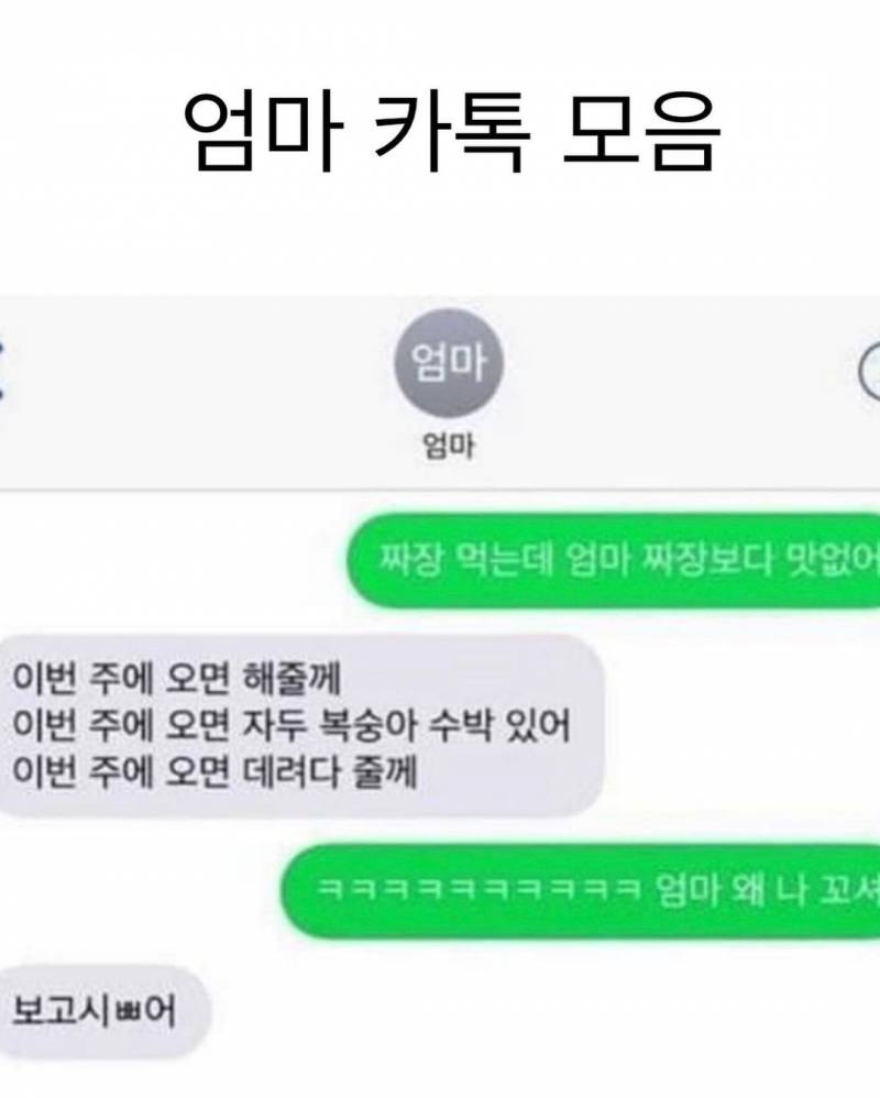 감수성 매마른 익들 드러와랑 | 인스티즈