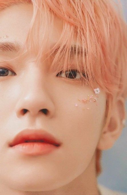 [잡담] 세븐틴 일본 앨범 중 내 최애 컨셉... | 인스티즈