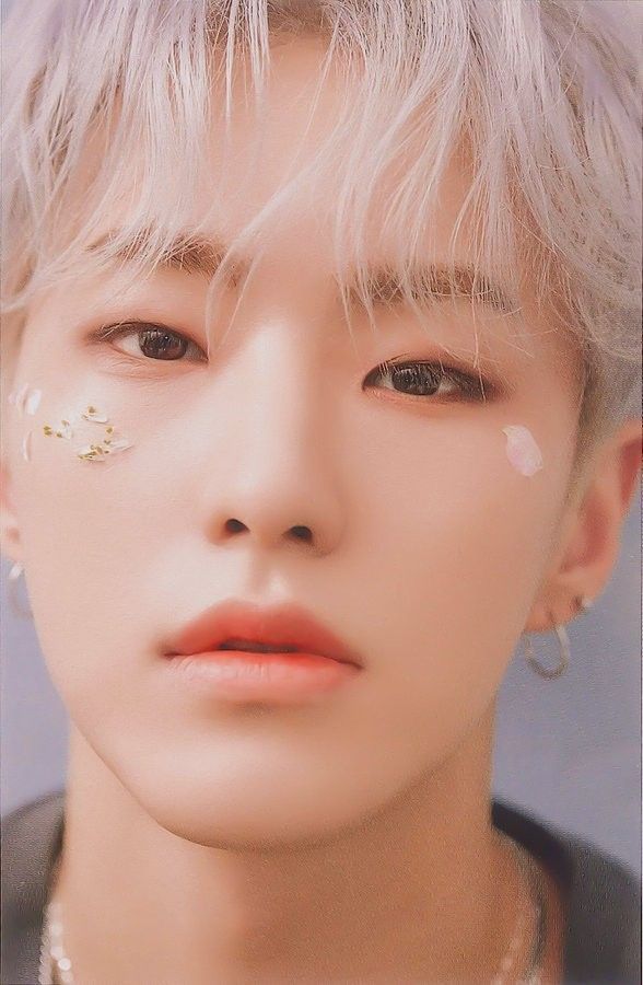 [잡담] 세븐틴 일본 앨범 중 내 최애 컨셉... | 인스티즈