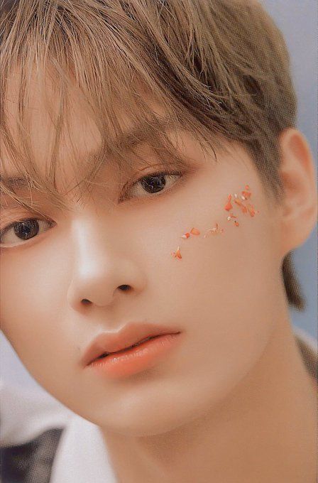 [잡담] 세븐틴 일본 앨범 중 내 최애 컨셉... | 인스티즈