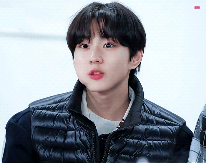 [잡담] 고양이는 처음 좋아해봄 | 인스티즈