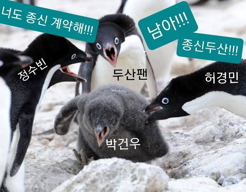 이 짤 봤어? | 인스티즈