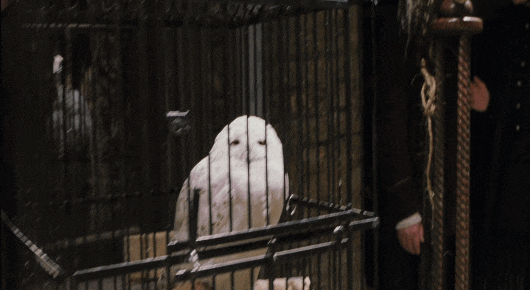 [말포이/톰펠튼] 나는 우연히 호그와트에 입학하게 되었다 #1 | 인스티즈