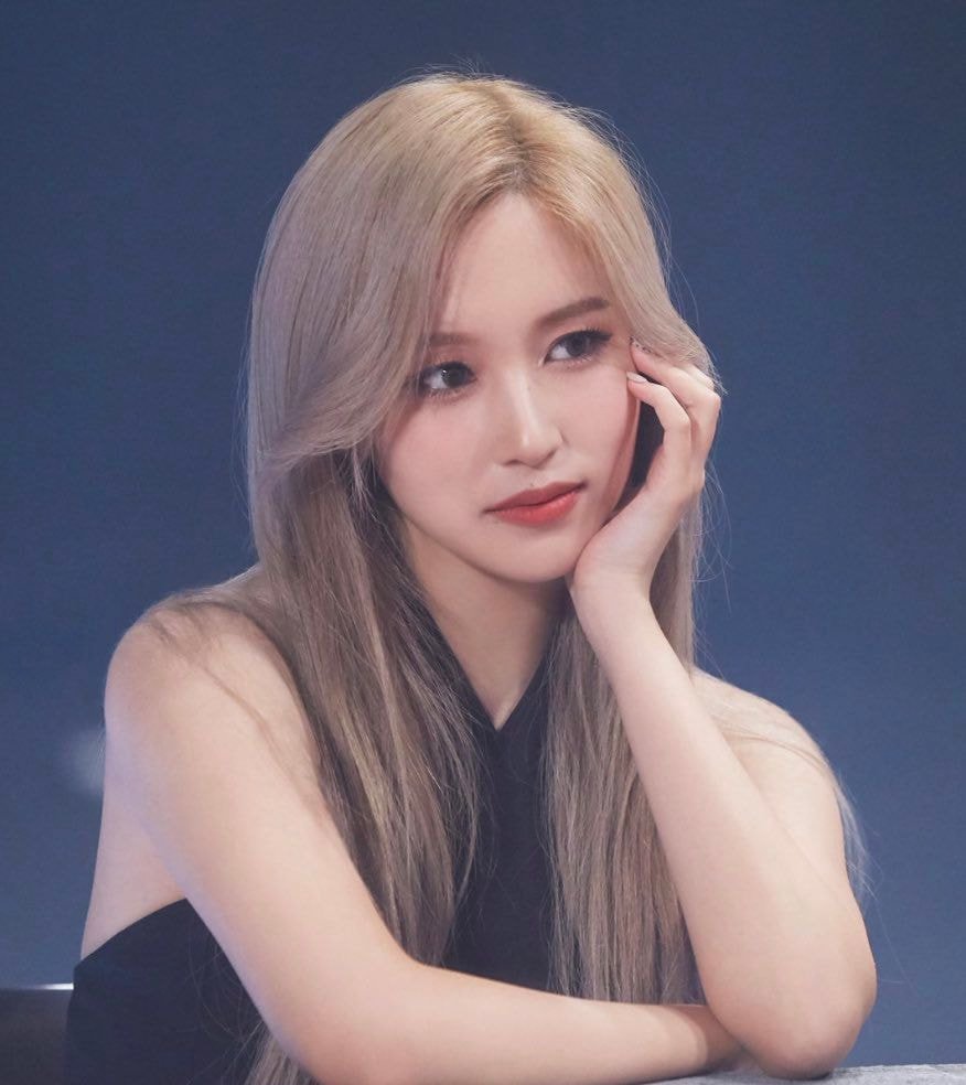 [잡담] 얘드라 트와 미나가 이 활동 리즈였다고 인정해줬다 | 인스티즈