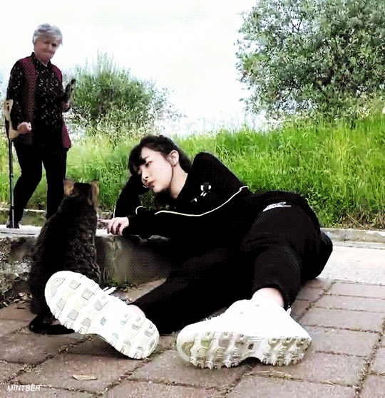 [잡담] 아 슬기 동물들이 뭘로 보는지 모르겠는데 붙어있으면 개웃김 | 인스티즈