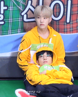 [잡담] 권호시 이런데 어떻게 호랑이? | 인스티즈