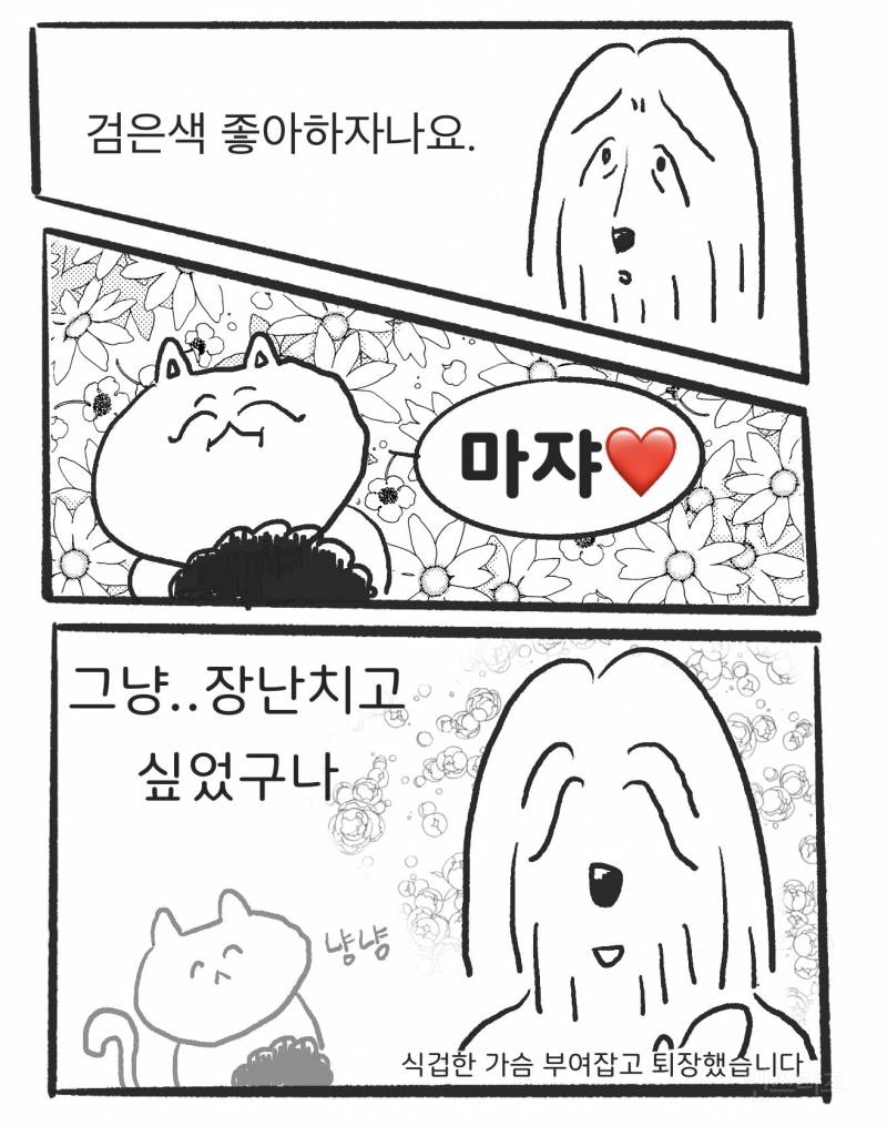 트위터에서 알티타고있는 귀여운 제니 팬싸 일화.twt | 인스티즈