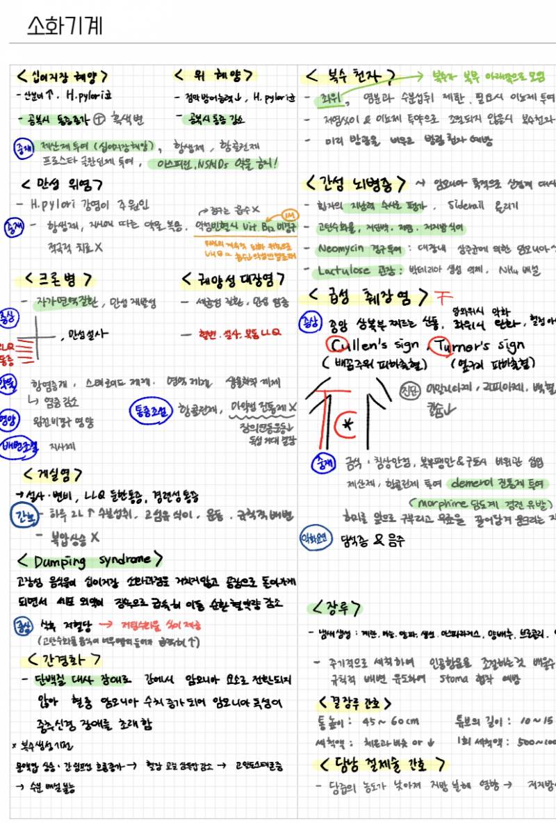 ㅠ 나도 아이패드로 이쁘게 필기하고싶다 | 인스티즈