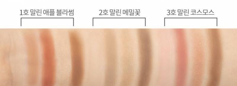 가을 소프트 익 팔레트 골라주라!! 40 | 인스티즈