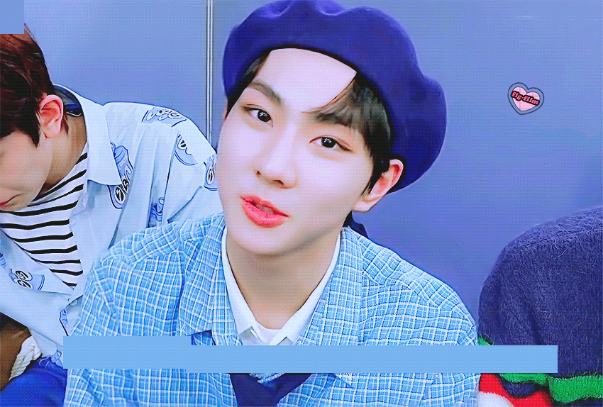 [잡담] 2n살 한국여성이 18살 아기고양이를 사랑한다면 어쩔 셈이지 | 인스티즈