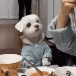 엄마 나도 한입만..🤤🤤🤤 | 인스티즈