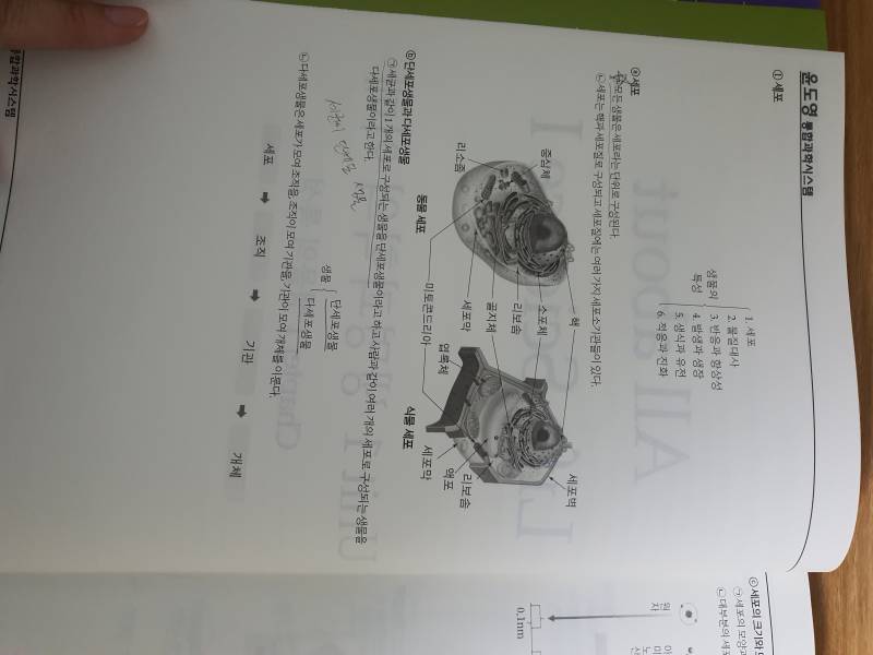 2022 윤도영교재 | 인스티즈