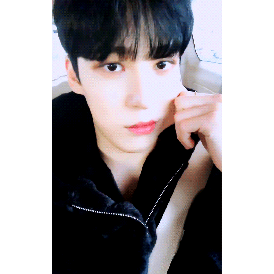 [잡담] 정유노 이 기염댕댕이 | 인스티즈