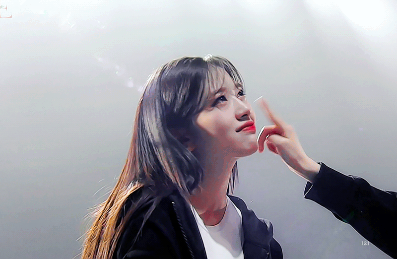 [잡담] 우리집 강아지로 드라마 한 편 서사 볼래? | 인스티즈