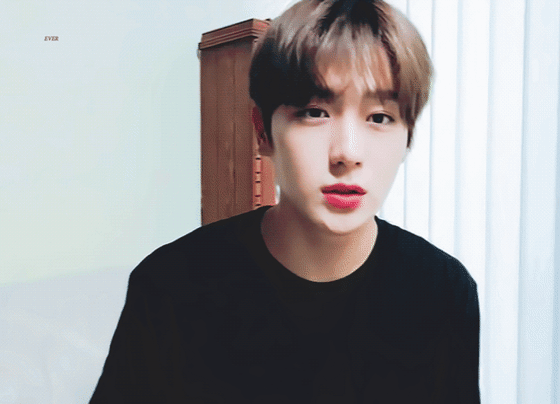 [잡담] 아니 더보이즈 현재 내 취향 파괴범 | 인스티즈