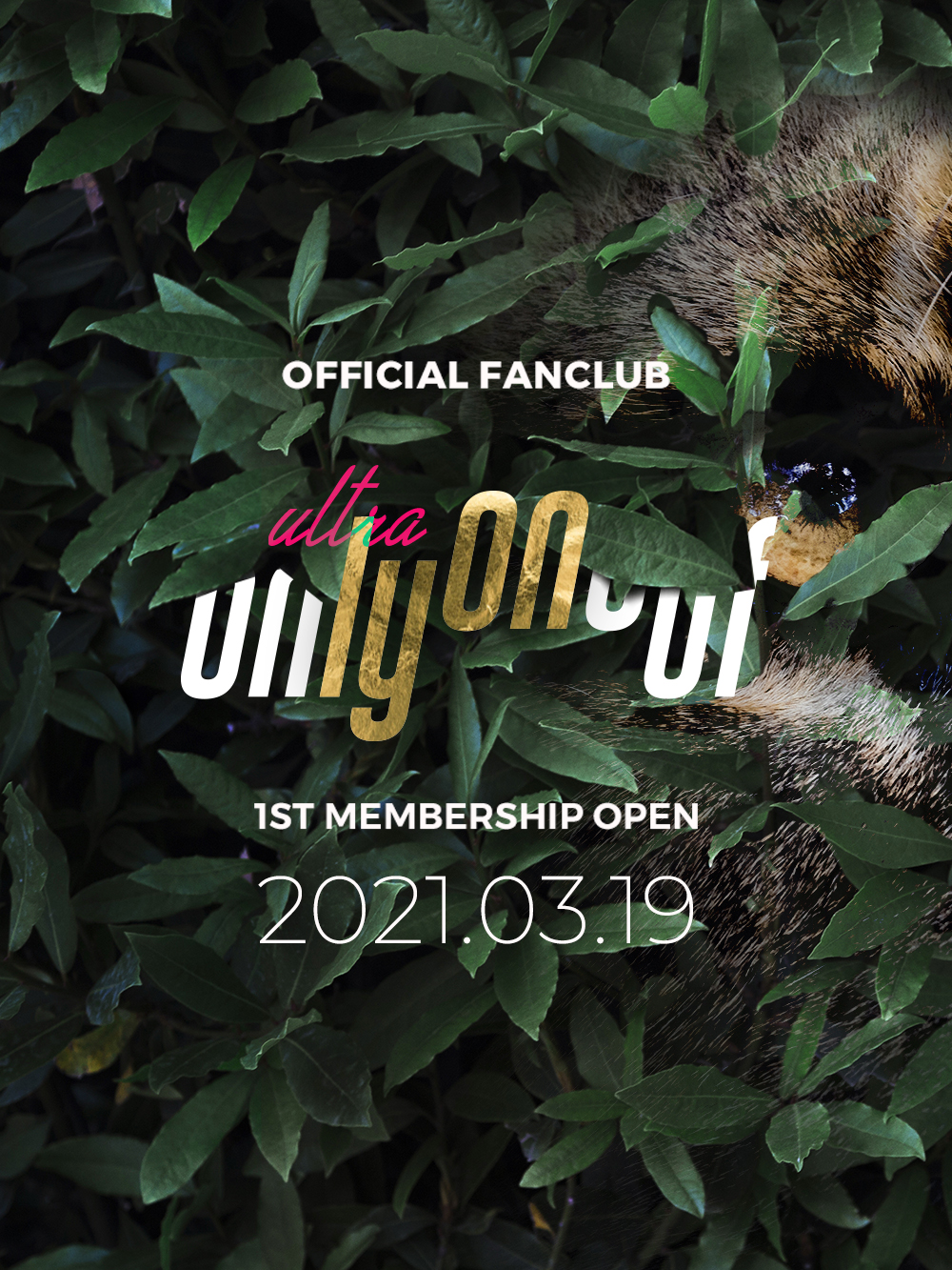 [정보/소식] OnlyOneOf (온리원오브) 공식 팬클럽 lyOn (라이온) 모집 | 인스티즈