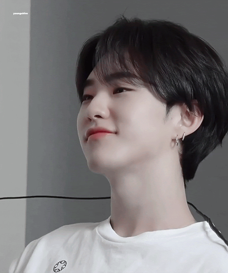 [잡담] 큰방 타팬들아 호시는 햄찌 vs 호랑이 | 인스티즈