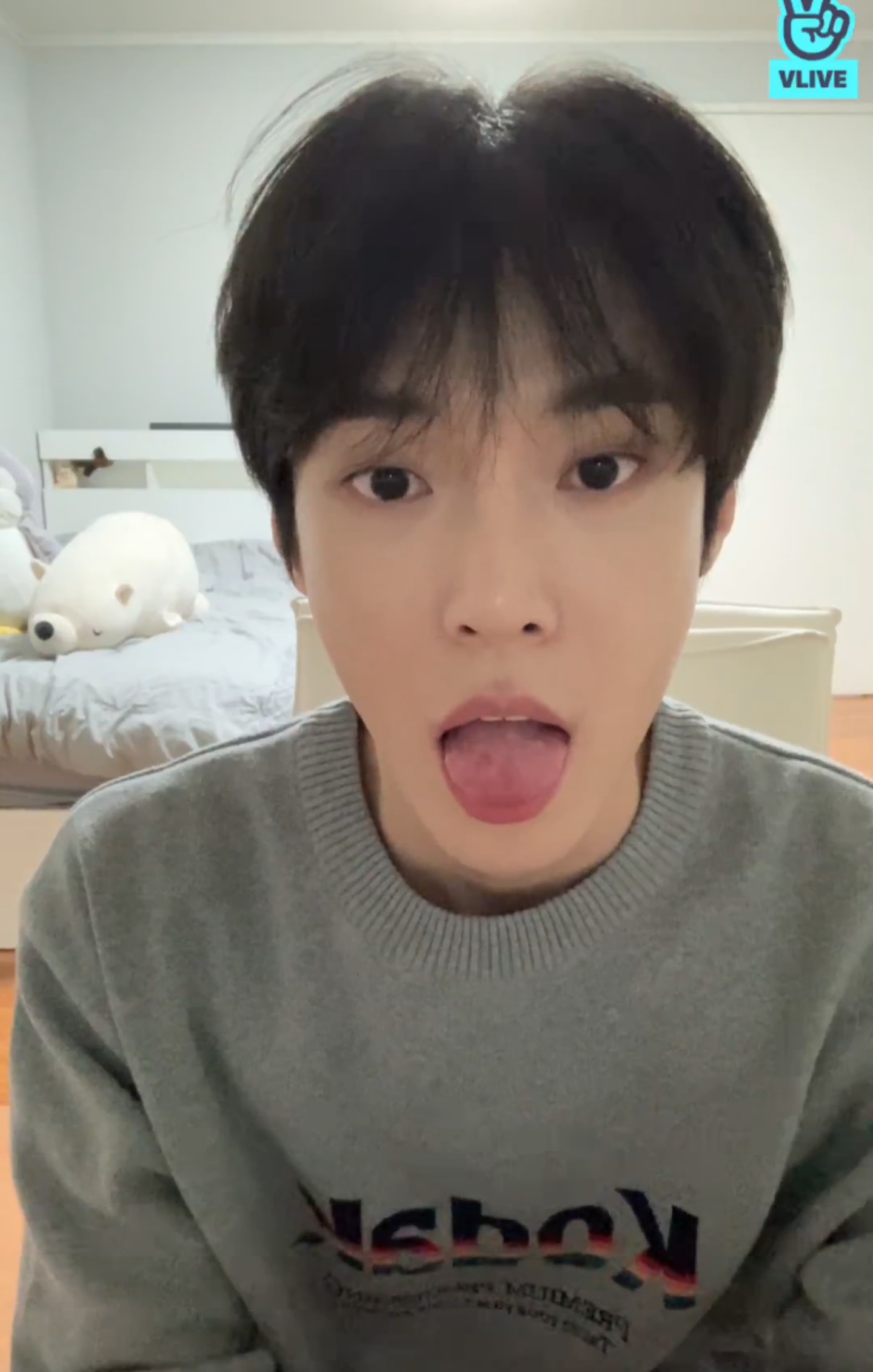 [잡담] 난 최애로 타팬이 보는 동물상 이런거 안해... | 인스티즈