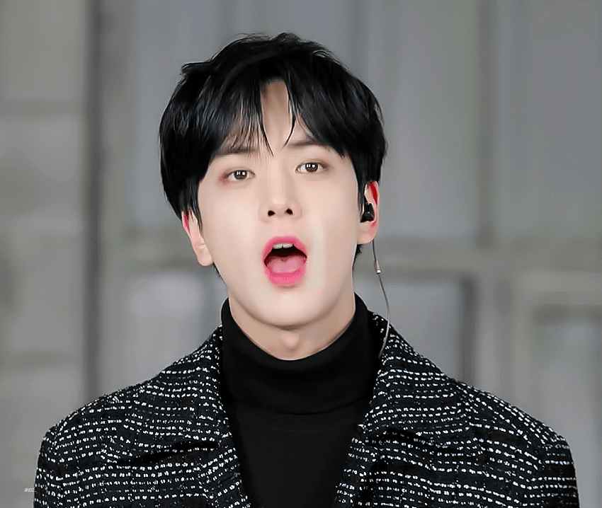 [잡담] 갤러리에 미남강아지를 심어보세요 | 인스티즈