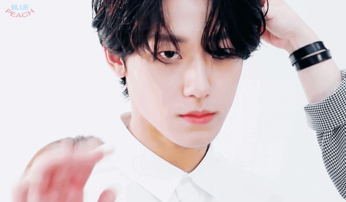 [잡담] 소나무 도전합니다 | 인스티즈