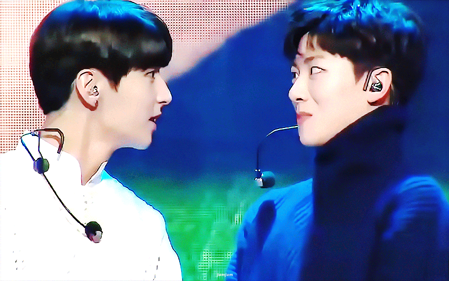 [잡담] 토끼랑 호랑이랑 싸우면 누가 이겨요?? | 인스티즈