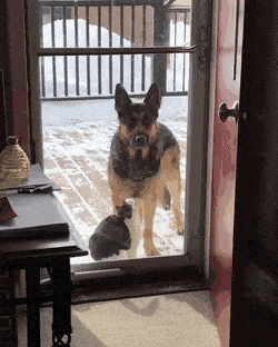 [잡담] 이거 나만 설렘? | 인스티즈