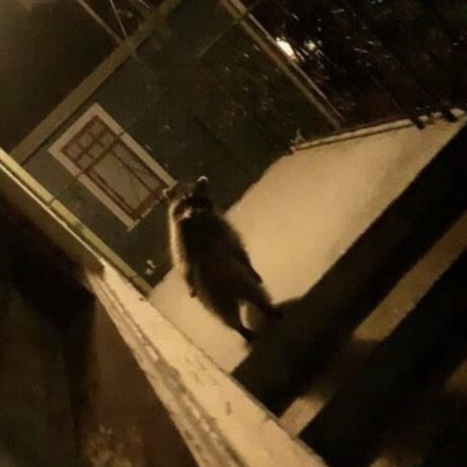 [잡담] ???: 더보이즈들 왜 그렇게 서 있어요??? | 인스티즈