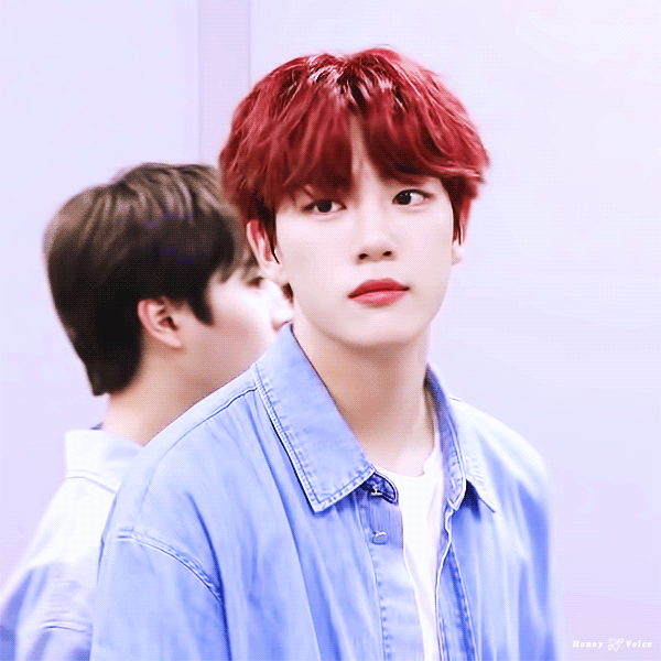 [잡담] 우리집호랑이보고싶군 | 인스티즈