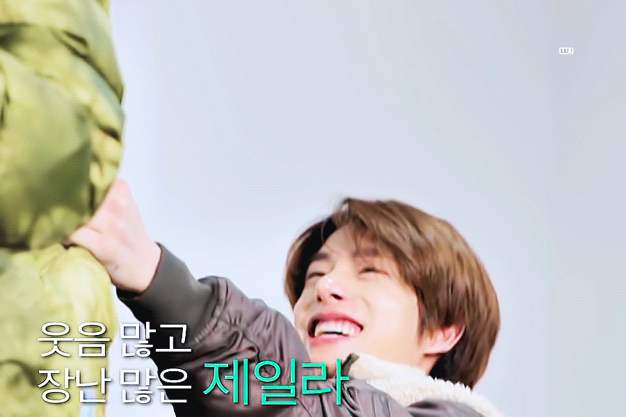 [잡담] 귀여운 강아지 볼 사람~ | 인스티즈