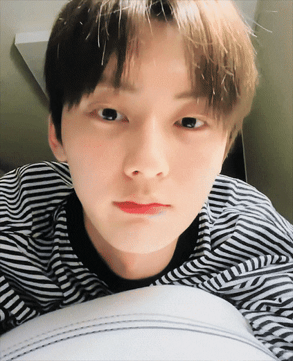 [잡담] 취향 중구난방이고 남돌 박애주의자의 갤러리 털기,, | 인스티즈