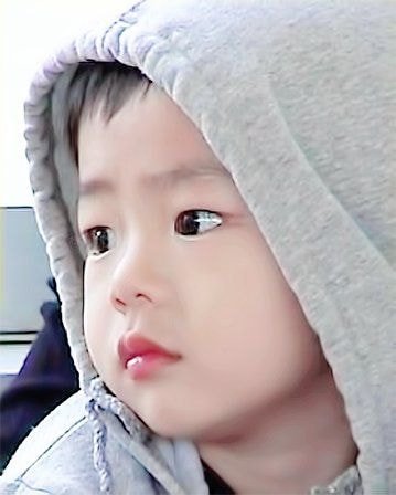 [잡담] 귀여워서 주웠었던 남돌들 애기시절 과사 몇개 | 인스티즈