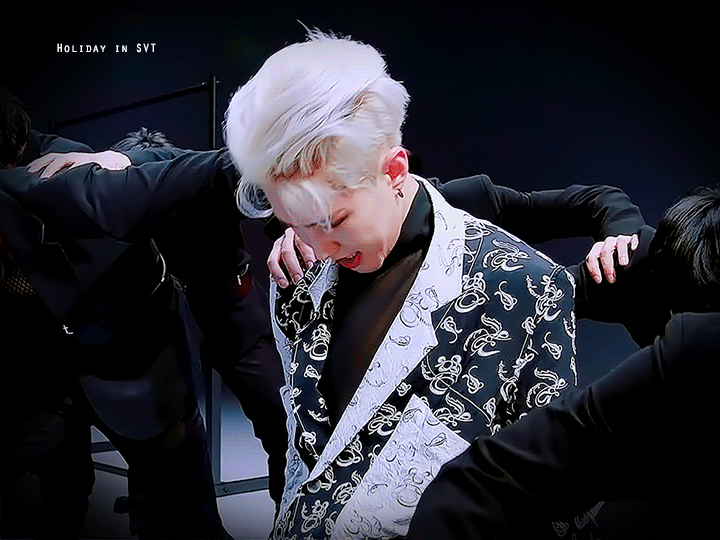 [잡담] 호시가 자기모에화 호랑이로 미는 이유 | 인스티즈