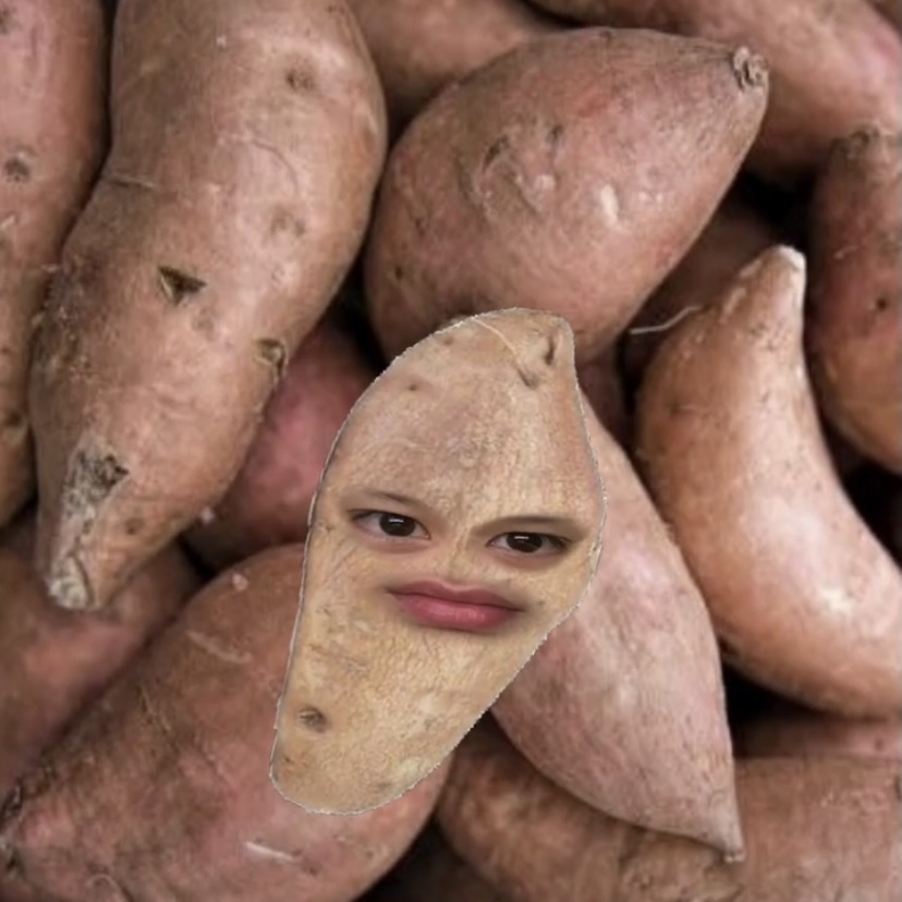 [잡담] 세상에서 제일 잘생긴 고구마 | 인스티즈