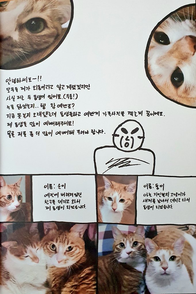 [잡담] 스키즈 리노가 키우는 고양이 팬들한테 소개한다고 쓴 글 | 인스티즈