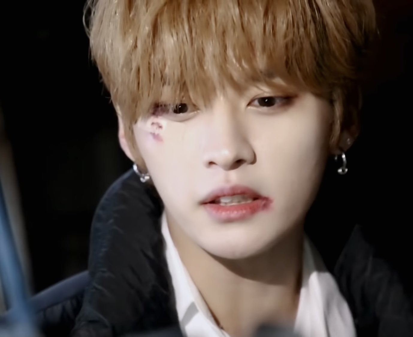 [잡담] 스키즈 리노가 키우는 고양이 팬들한테 소개한다고 쓴 글 | 인스티즈