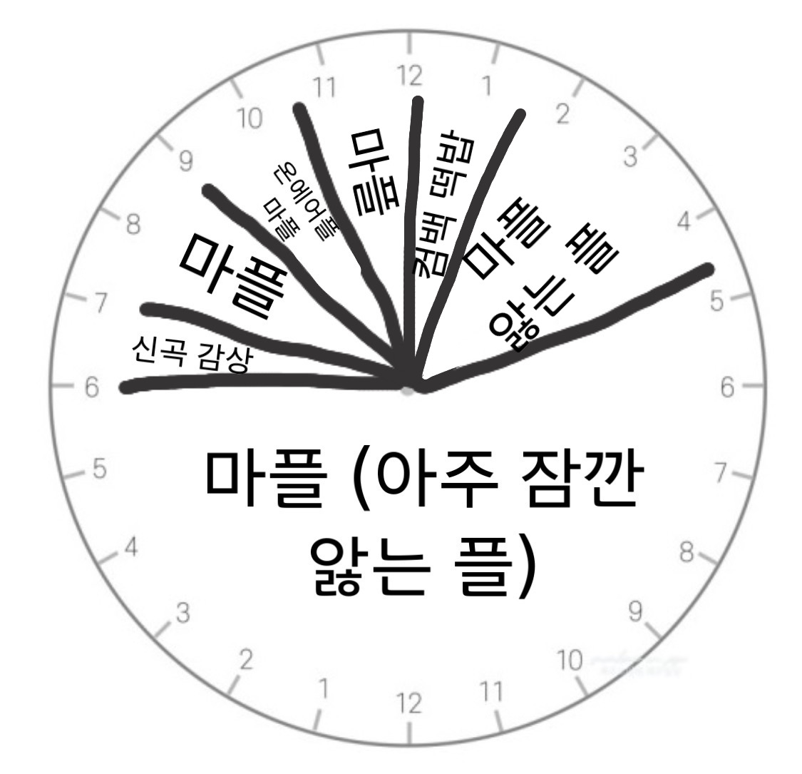 [마플] 이게 무슨 🐕판이람 | 인스티즈