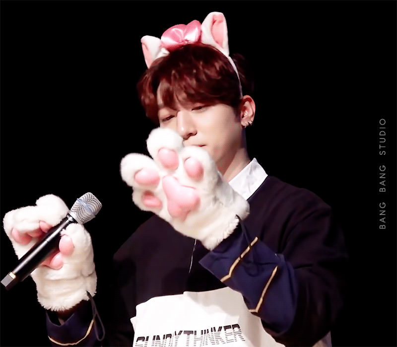 [잡담] ﻿คʕ•ﻌ•ʔค 이거 성진이 | 인스티즈