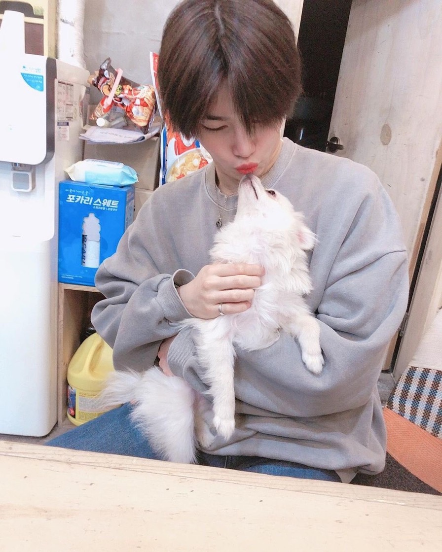 [잡담] 하 쟤 강아지 아닌게 확실해 | 인스티즈