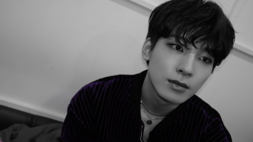 [잡담] 우리집 고양이(or 여우)가 인기가 많네... 잘생겼지 암요 | 인스티즈