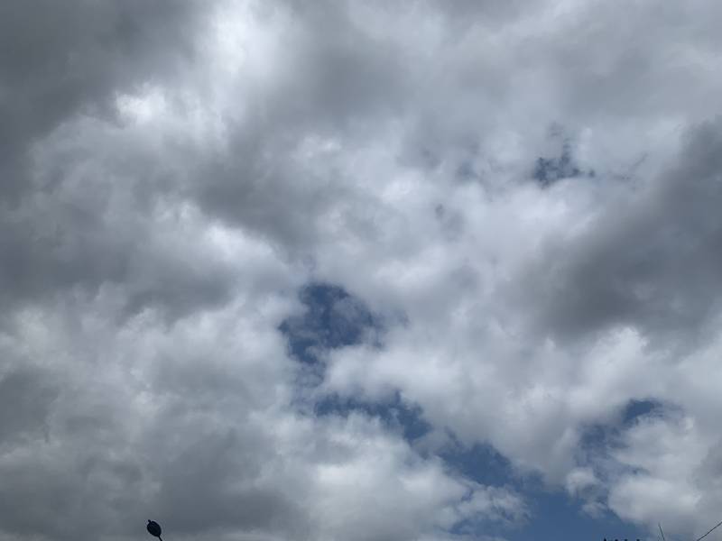 [코인] 코린이 나름 수익!!! | 인스티즈