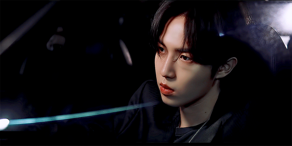 [잡담] 울 강아지 운전하는것 좀 보세요 완전 으른이야 | 인스티즈