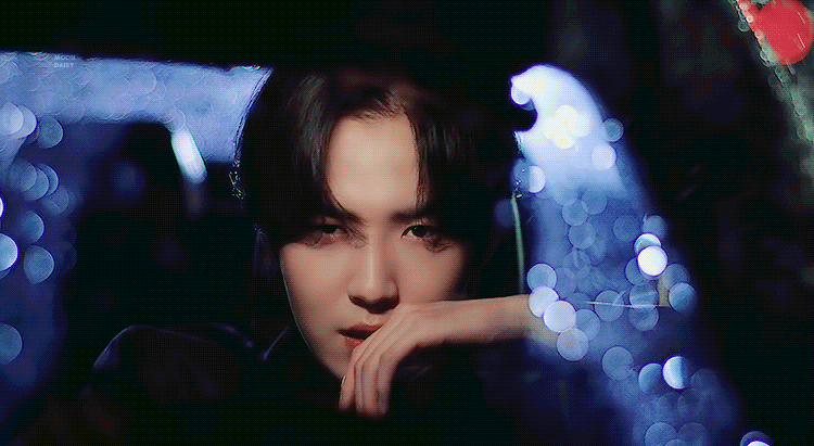 [잡담] 울 강아지 운전하는것 좀 보세요 완전 으른이야 | 인스티즈