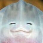 [잡담] 주연이 은은하게 웃을 때 넘나 아기가오리 그 자체얔ㅋㅋㅋ진짜 닮음 | 인스티즈