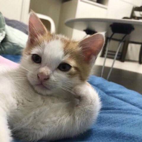 다들 잘자요🖐 | 인스티즈