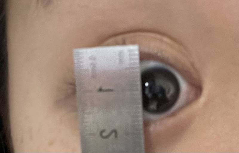 눈 길이 2cm가 어떻게 나오는거지 | 인스티즈