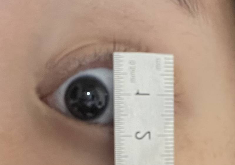 눈 길이 2cm가 어떻게 나오는거지 | 인스티즈